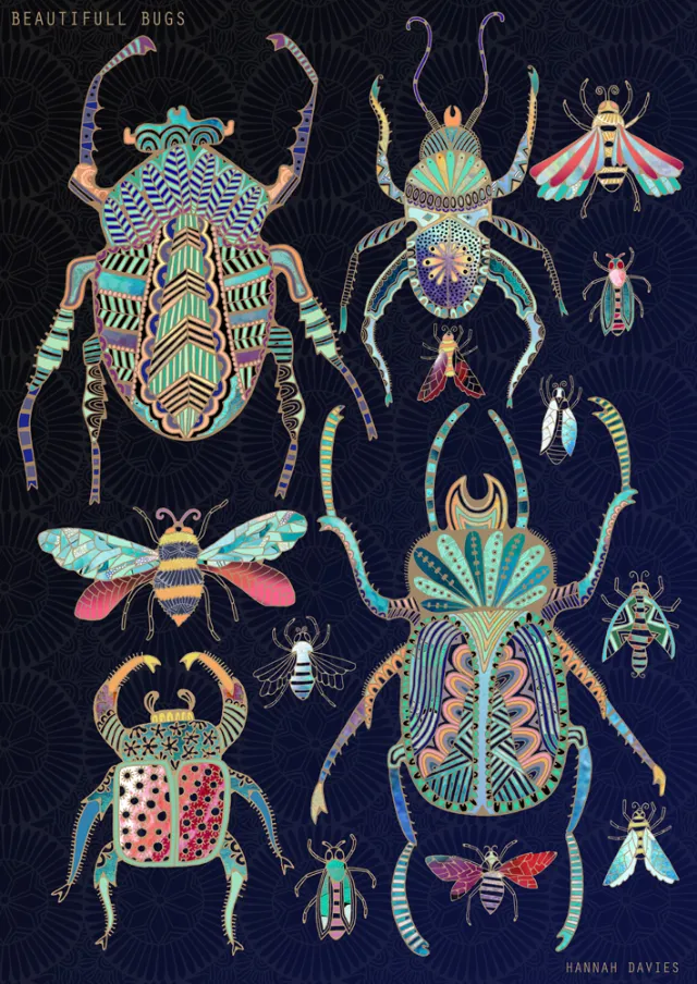 Animals Bugs design