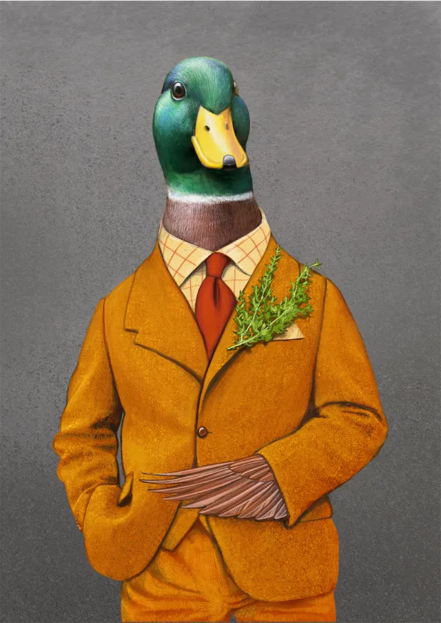 Anthropomorphic Duck bird illustration
