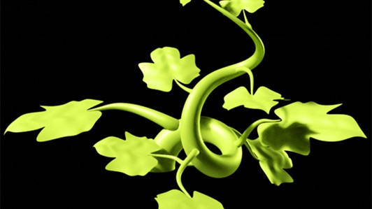 Vine 3d animation