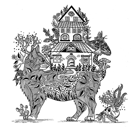 Animal stories for coloring
