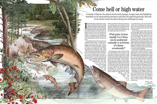 Seawater and Freshwater eco-systems