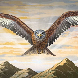 Colin Elgie
